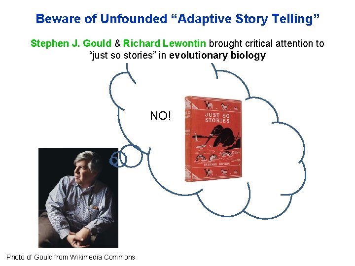 Beware of Unfounded “Adaptive Story Telling” Stephen J. Gould & Richard Lewontin brought critical