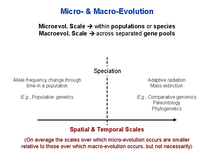 Micro- & Macro-Evolution Microevol. Scale within populations or species Macroevol. Scale across separated gene