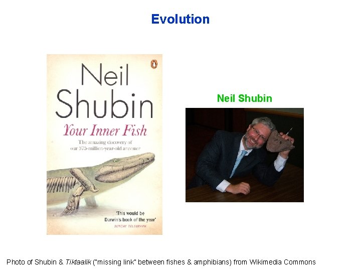 Evolution Neil Shubin Photo of Shubin & Tiktaalik (“missing link” between fishes & amphibians)