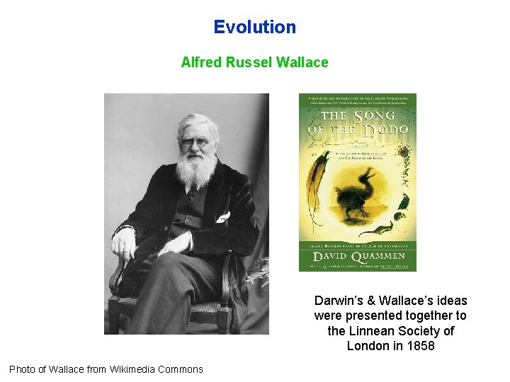 Evolution Alfred Russel Wallace Darwin’s & Wallace’s ideas were presented together to the Linnean