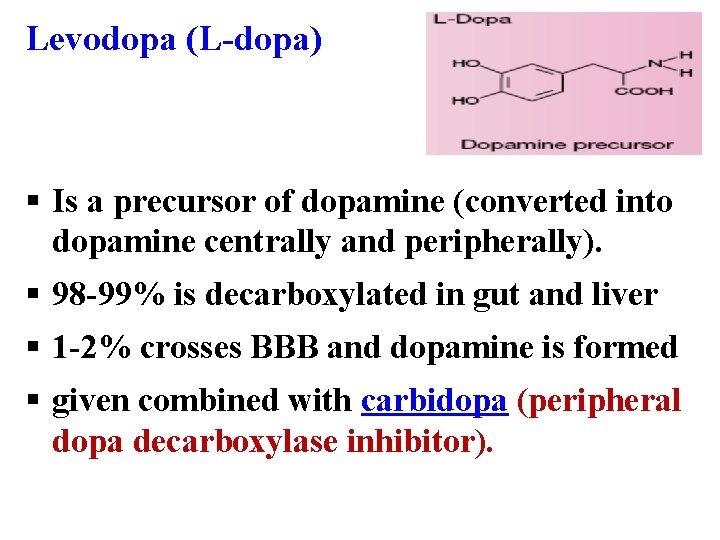 Levodopa (L-dopa) § Is a precursor of dopamine (converted into dopamine centrally and peripherally).