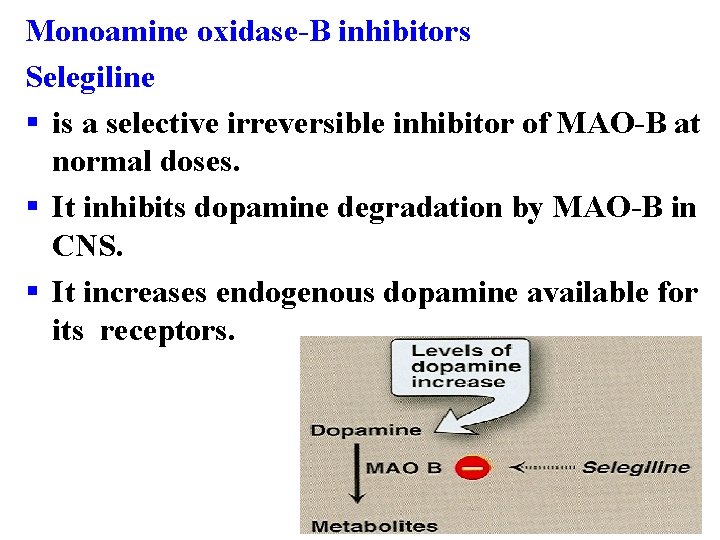 Monoamine oxidase-B inhibitors Selegiline § is a selective irreversible inhibitor of MAO-B at normal