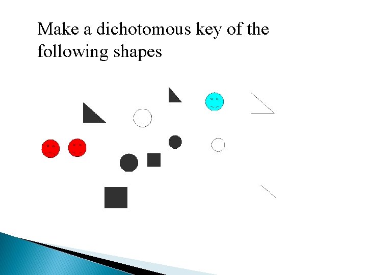 Make a dichotomous key of the following shapes 