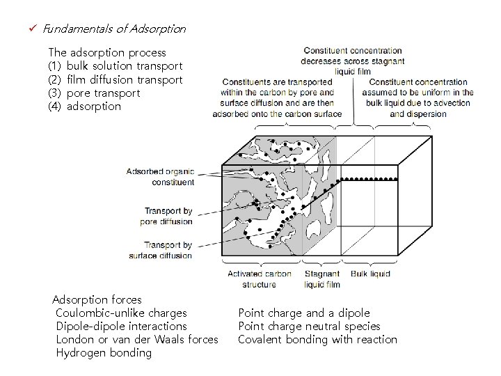 ü Fundamentals of Adsorption The adsorption process (1) bulk solution transport (2) film diffusion