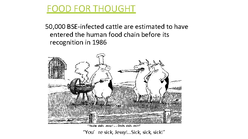 FOOD FOR THOUGHT 50, 000 BSE-infected cattle are estimated to have entered the human