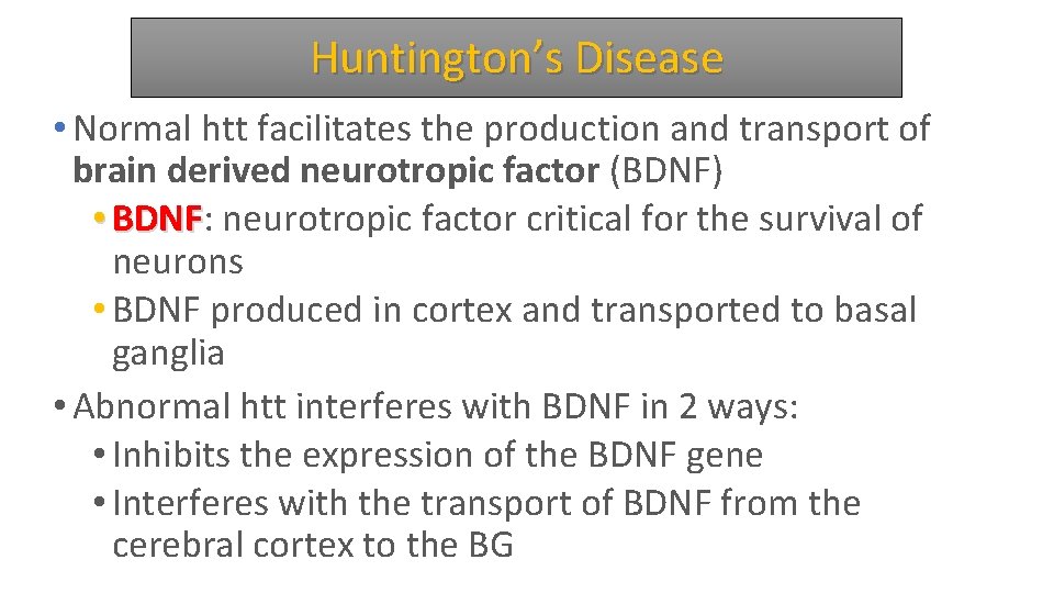 Huntington’s Disease • Normal htt facilitates the production and transport of brain derived neurotropic