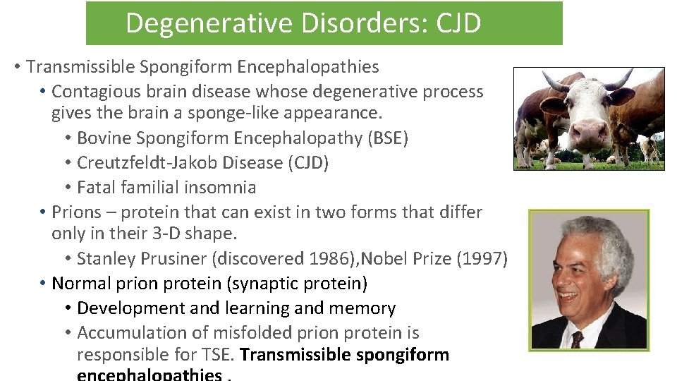  Degenerative Disorders: CJD • Transmissible Spongiform Encephalopathies • Contagious brain disease whose degenerative