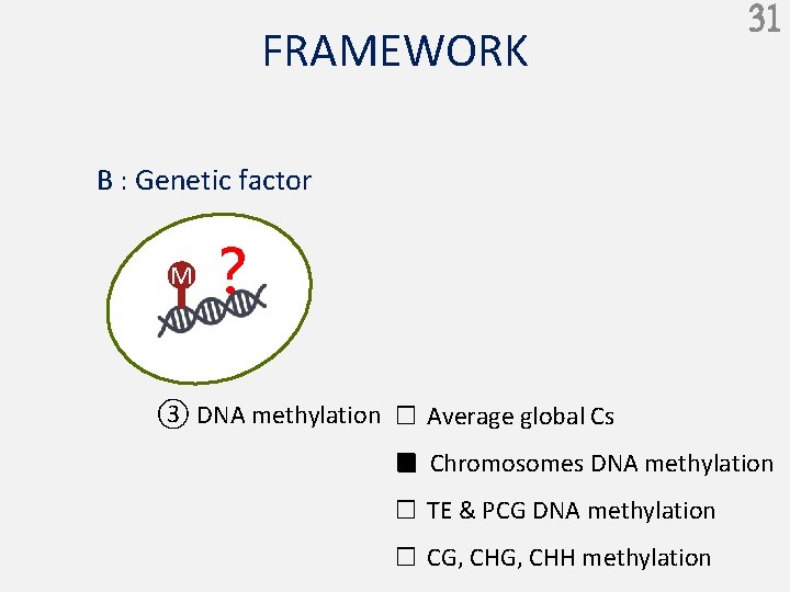 FRAMEWORK 31 B : Genetic factor M ？ ③ DNA methylation □ Average global