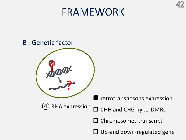 FRAMEWORK B : Genetic factor M ？ ■ retrotransposons expression □ ④ RNA expression