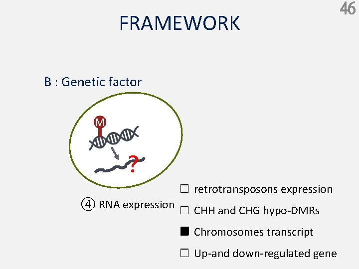 FRAMEWORK B : Genetic factor M ？ □ retrotransposons expression ④ RNA expression □