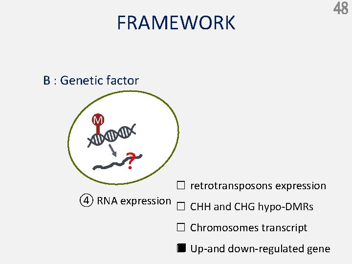 FRAMEWORK B : Genetic factor M ？ □ retrotransposons expression ④ RNA expression □