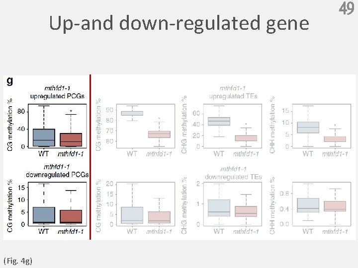 Up-and down-regulated gene (Fig. 4 g) 49 