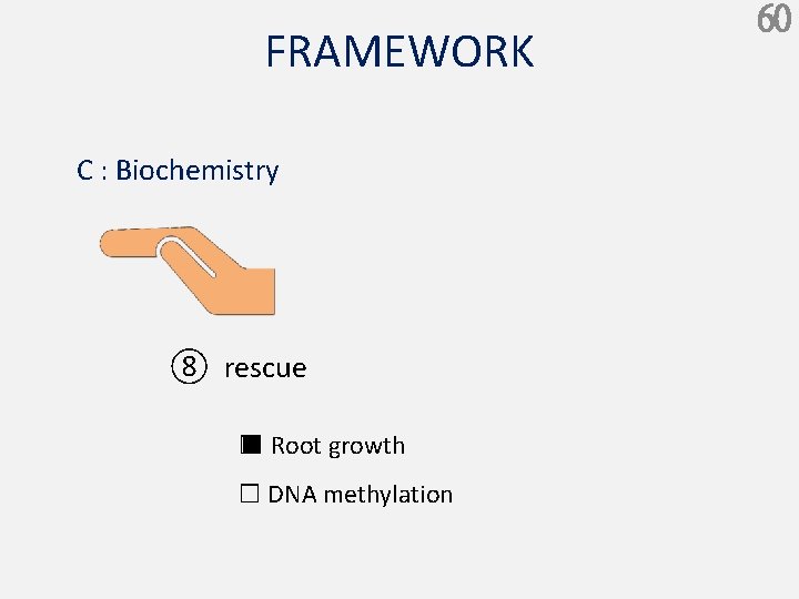 FRAMEWORK C : Biochemistry ⑧ rescue ■ Root growth □ □ DNA methylation 60
