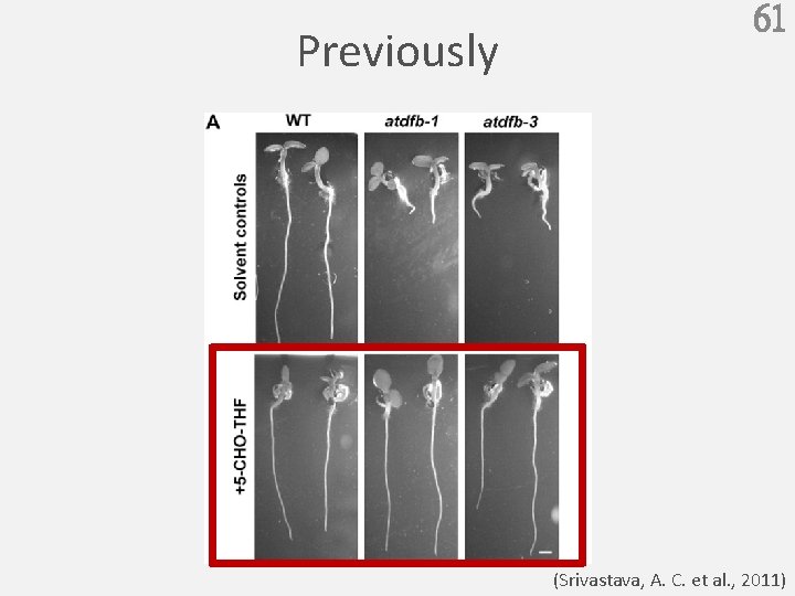 Previously 61 (Srivastava, A. C. et al. , 2011) 