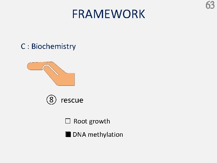 FRAMEWORK C : Biochemistry ⑧ rescue □ Root growth □ ■ DNA methylation 63