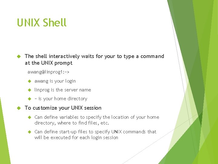 UNIX Shell The shell interactively waits for your to type a command at the