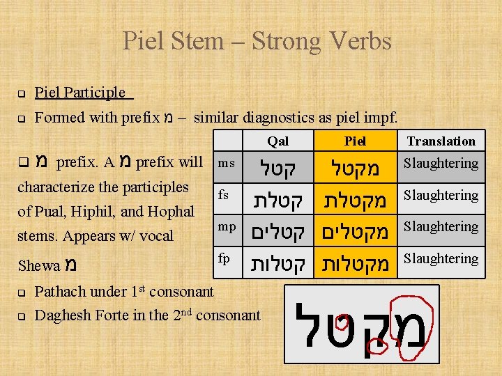 Piel Stem – Strong Verbs q Piel Participle q Formed with prefix – מ