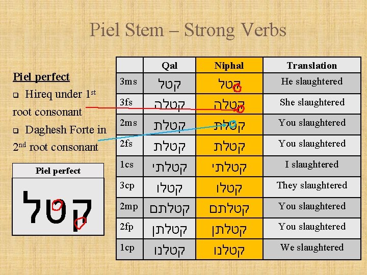 Piel Stem – Strong Verbs Piel perfect q Hireq under 1 st root consonant