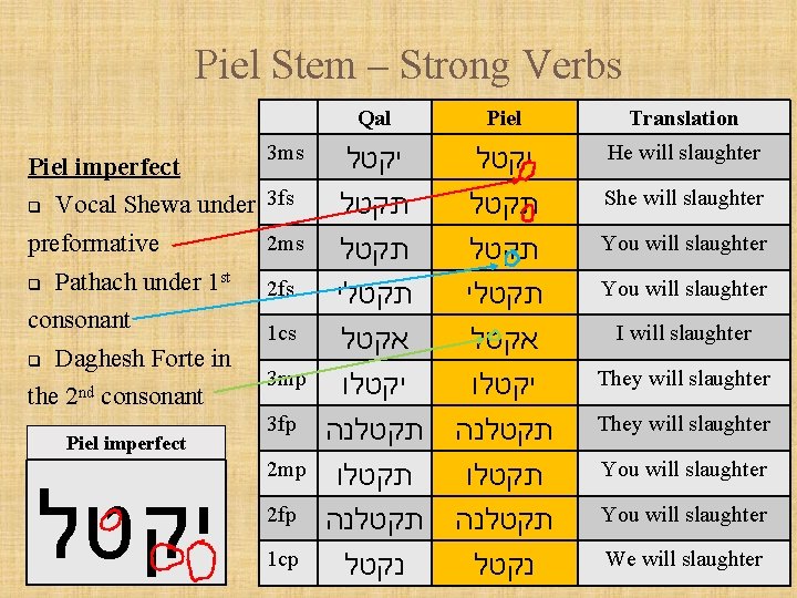 Piel Stem – Strong Verbs Qal Piel imperfect q Vocal Shewa under 3 fs