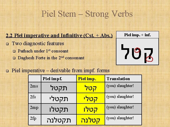 Piel Stem – Strong Verbs 2. 2 Piel imperative and Infinitive (Cst. + Abs.