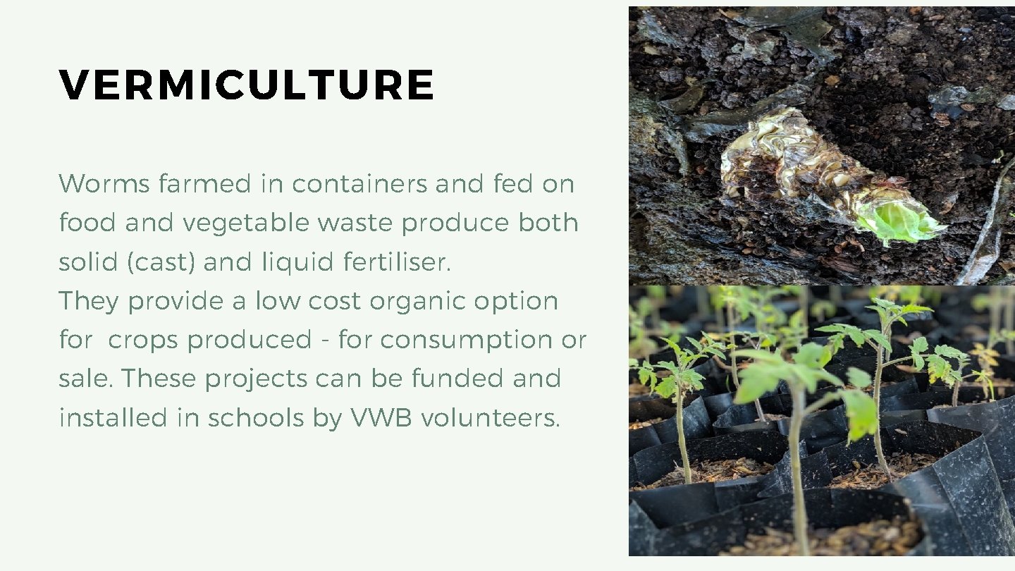 VERMICULTURE Worms farmed in containers and fed on food and vegetable waste produce both