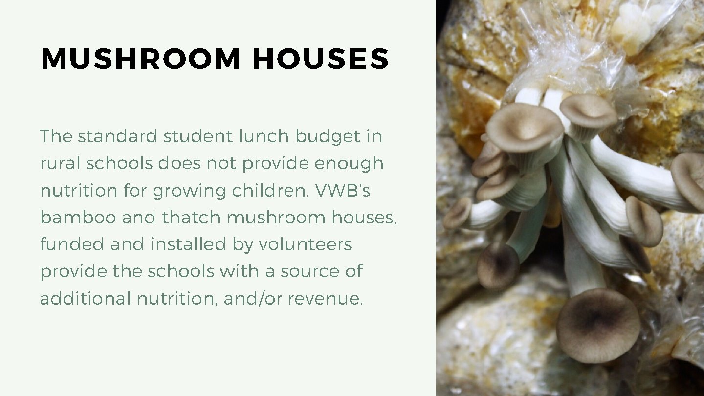 MUSHROOM HOUSES The standard student lunch budget in rural schools does not provide enough