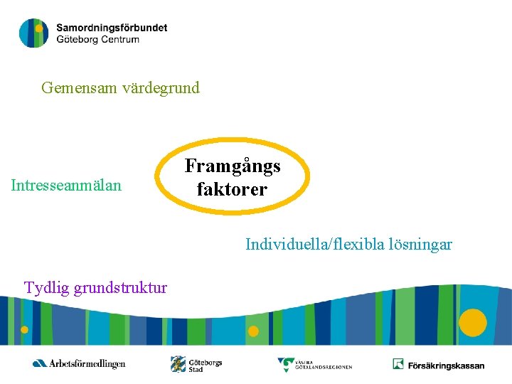 16 Gemensam värdegrund Intresseanmälan Framgångs faktorer Individuella/flexibla lösningar Tydlig grundstruktur 