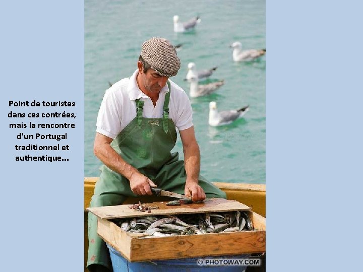 Point de touristes dans ces contrées, mais la rencontre d'un Portugal traditionnel et authentique.