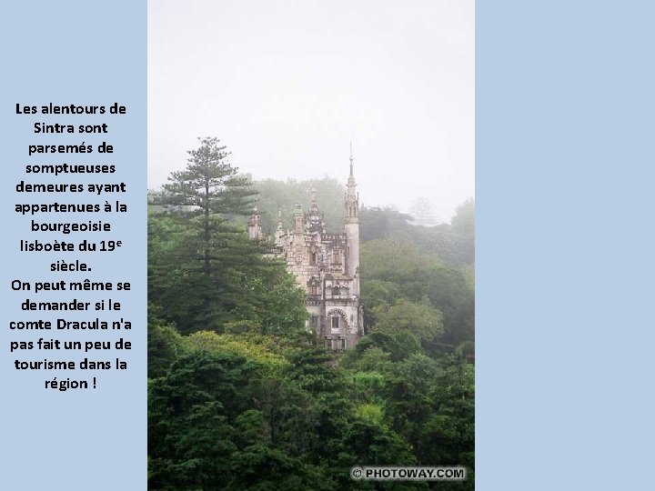 Les alentours de Sintra sont parsemés de somptueuses demeures ayant appartenues à la bourgeoisie