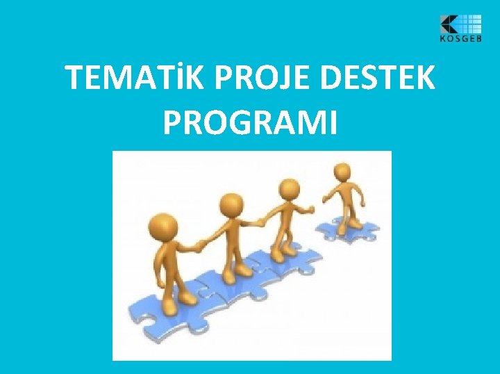 TEMATİK PROJE DESTEK PROGRAMI 