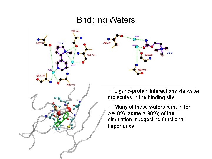 Bridging Waters • Ligand-protein interactions via water molecules in the binding site • Many