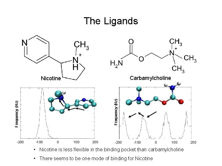 The Ligands Carbamylcholine Frequency (Hz) Nicotine -200 -100 0 100 • Nicotine is less