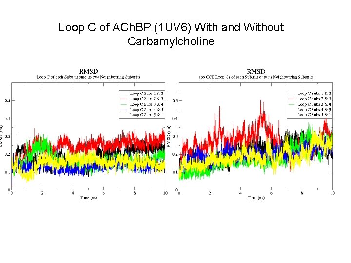 Loop C of ACh. BP (1 UV 6) With and Without Carbamylcholine 