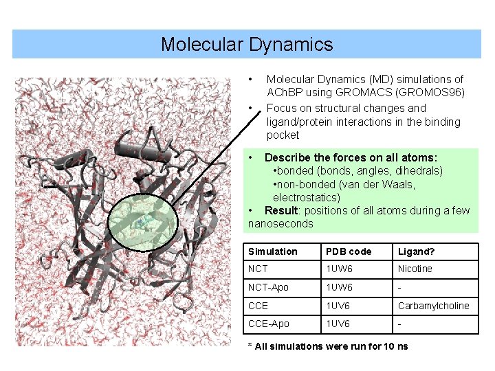 Molecular Dynamics • • Molecular Dynamics (MD) simulations of ACh. BP using GROMACS (GROMOS