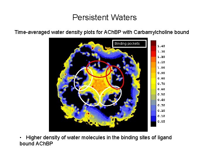 Persistent Waters Time-averaged water density plots for ACh. BP with Carbamylcholine bound Binding pockets