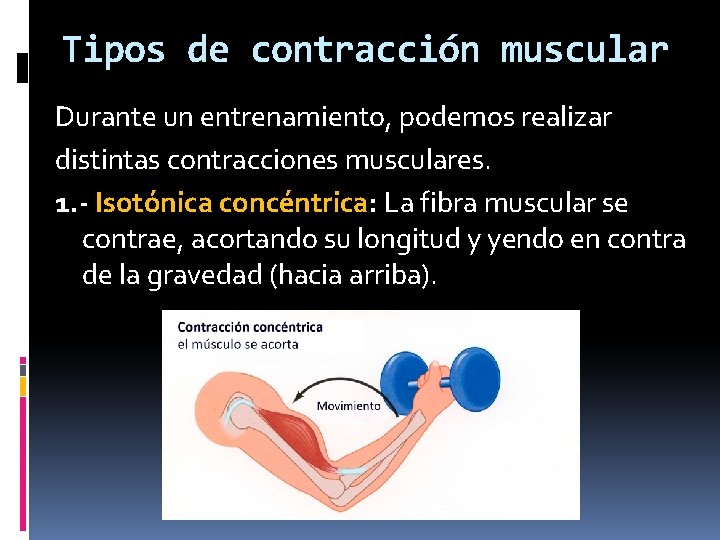 Tipos de contracción muscular Durante un entrenamiento, podemos realizar distintas contracciones musculares. 1. -