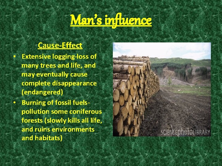 Man’s influence Cause-Effect • Extensive logging-loss of many trees and life, and may eventually