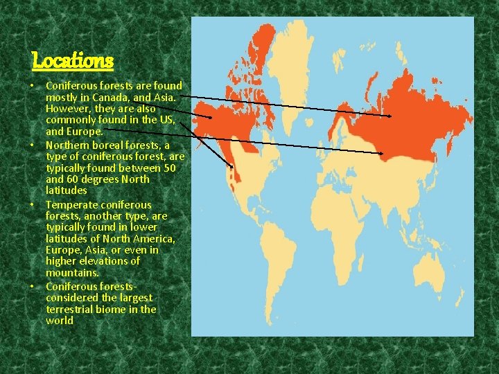 Locations • Coniferous forests are found mostly in Canada, and Asia. However, they are