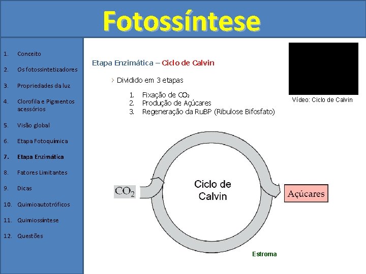 Fotossíntese 1. Conceito 2. Os fotossintetizadores 3. Propriedades da luz 4. Clorofila e Pigmentos