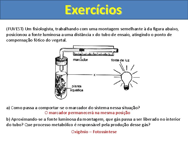 Exercícios (FUVEST) Um fisiologista, trabalhando com uma montagem semelhante à da figura abaixo, posicionou