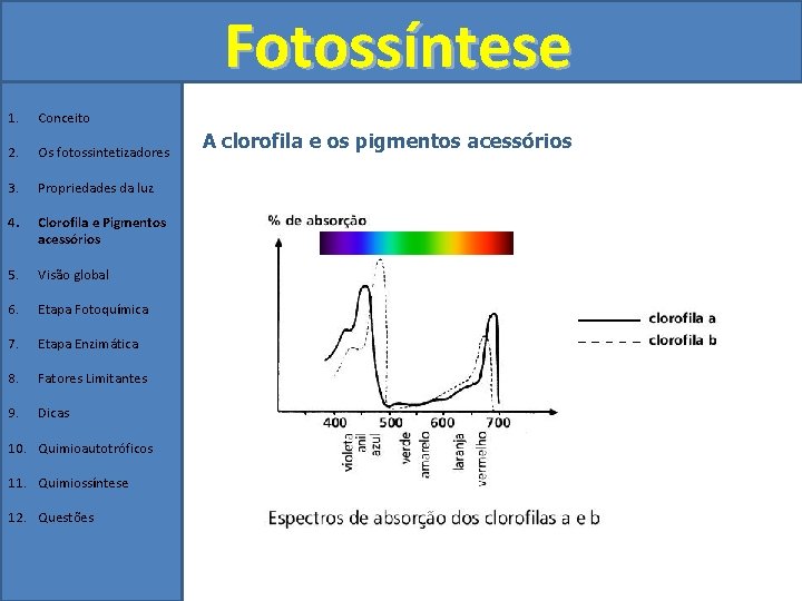 Fotossíntese 1. Conceito 2. Os fotossintetizadores 3. Propriedades da luz 4. Clorofila e Pigmentos