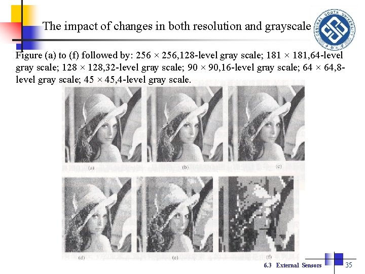 The impact of changes in both resolution and grayscale Figure (a) to (f) followed