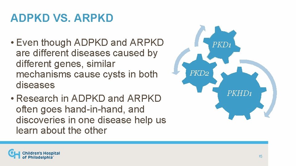 ADPKD VS. ARPKD • Even though ADPKD and ARPKD are different diseases caused by