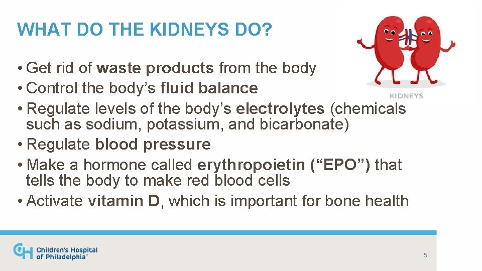 WHAT DO THE KIDNEYS DO? • Get rid of waste products from the body