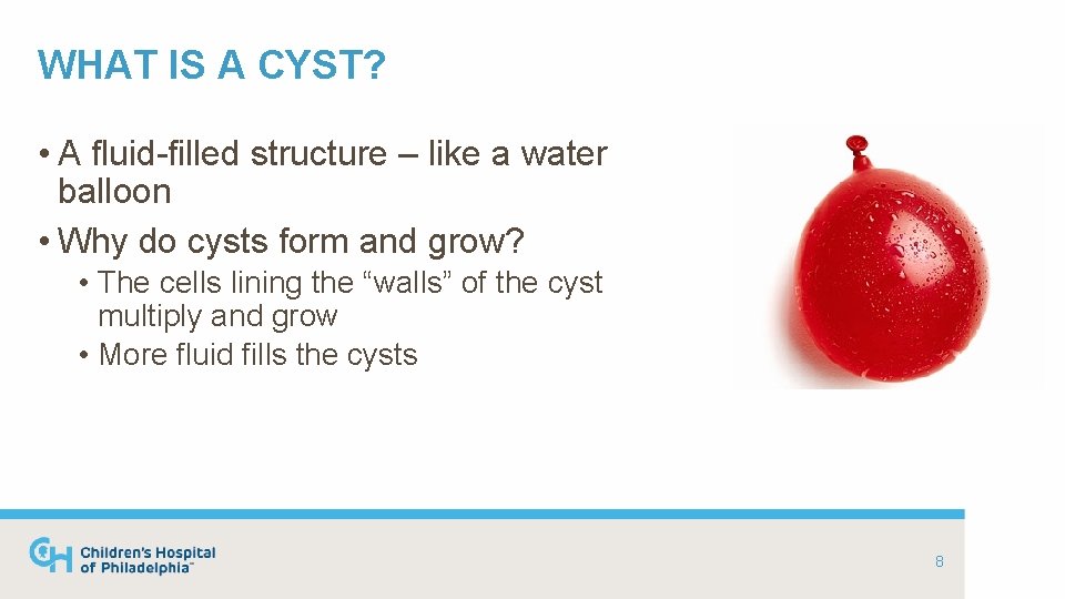 WHAT IS A CYST? • A fluid-filled structure – like a water balloon •