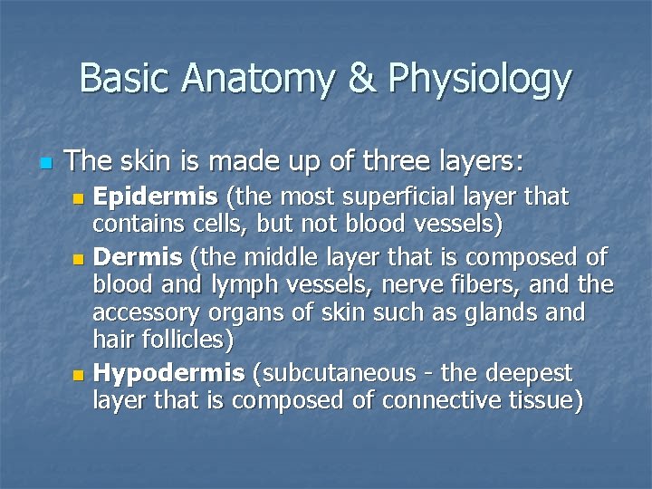 Basic Anatomy & Physiology n The skin is made up of three layers: Epidermis