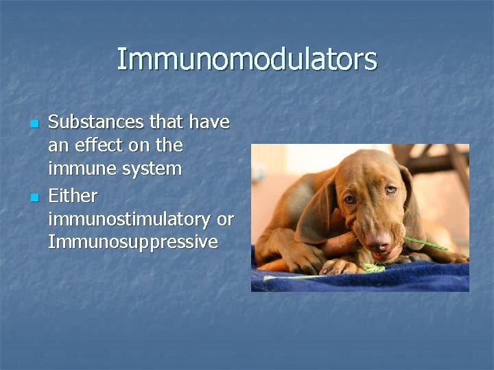 Immunomodulators n n Substances that have an effect on the immune system Either immunostimulatory