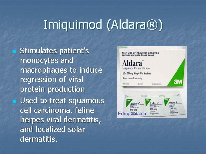 Imiquimod (Aldara®) n n Stimulates patient’s monocytes and macrophages to induce regression of viral