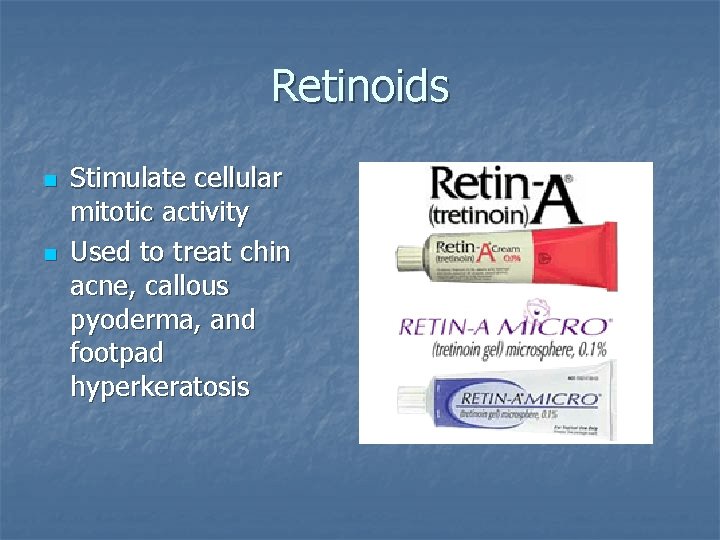 Retinoids n n Stimulate cellular mitotic activity Used to treat chin acne, callous pyoderma,