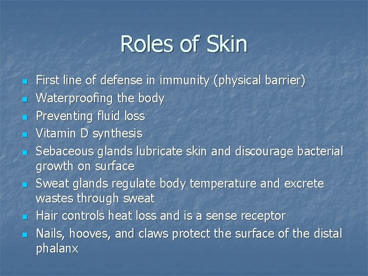 Roles of Skin n n n n First line of defense in immunity (physical